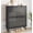 Black - No Shelf, variant on Modern 2 Flip Drawer Shoe Cabinet for Entryway, Narrow Natural Storage Organizer
