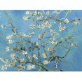 thumbnail image 2 of Art.com Almond Branches in Bloom, San Remy, c.1890 Stretched Canvas Print Wall Art by Vincent van Gogh, 32" x 24", 2 of 4