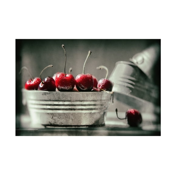 Trademark Fine Art 'Cherry Boats' Canvas Art by Joe Felzman Photography