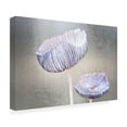 thumbnail image 4 of Canvas Wall Art - Anna Cseresnjes 'Mushroom' Wall Art for Living Room, Bedroom, or Office D?cor by Trademark Fine Art - 32 x 22 Inches, 4 of 4