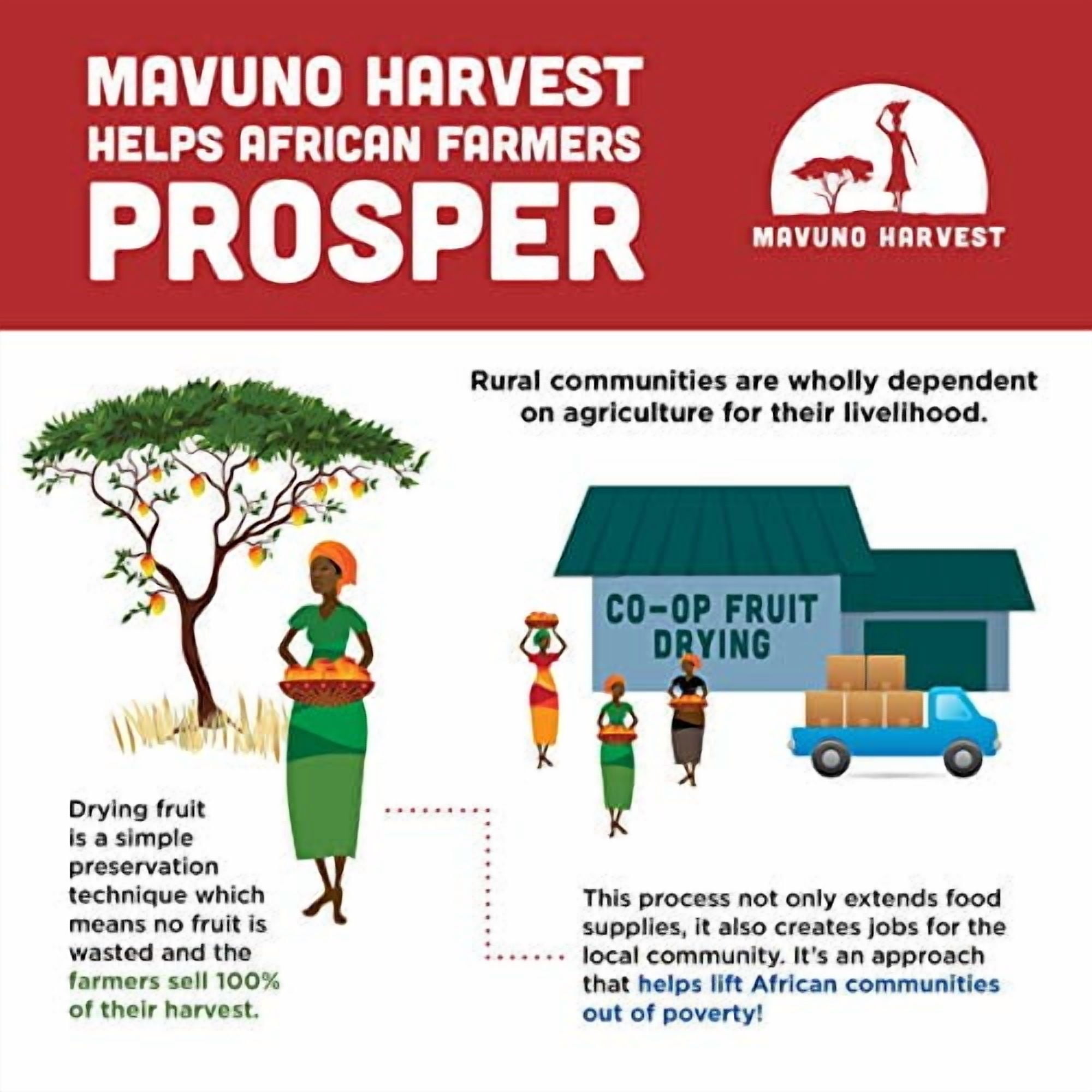 Mavuno Harvest Direct Trade Organic Dried Fruit, Jackfruit, 3 Count
