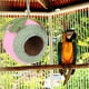 thumbnail image 5 of ¡Gran oferta! El pájaro natural está tejido y envuelto con una cuerda de cáñamo hecha a mano verde y amarilla, adecuada para pájaros pequeños y se puede colgar, 5 of 9