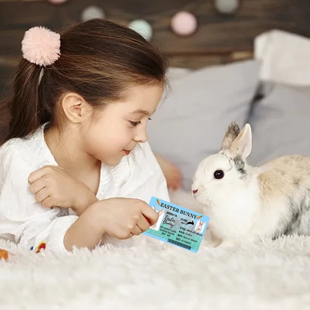 BotaniNest Easter Rabbit Drivers License Novelty Easter Decoration Lost Drivers License Diy Easter Rabbit Lost Id Card Easter Rabbit License 1/3/5pcs