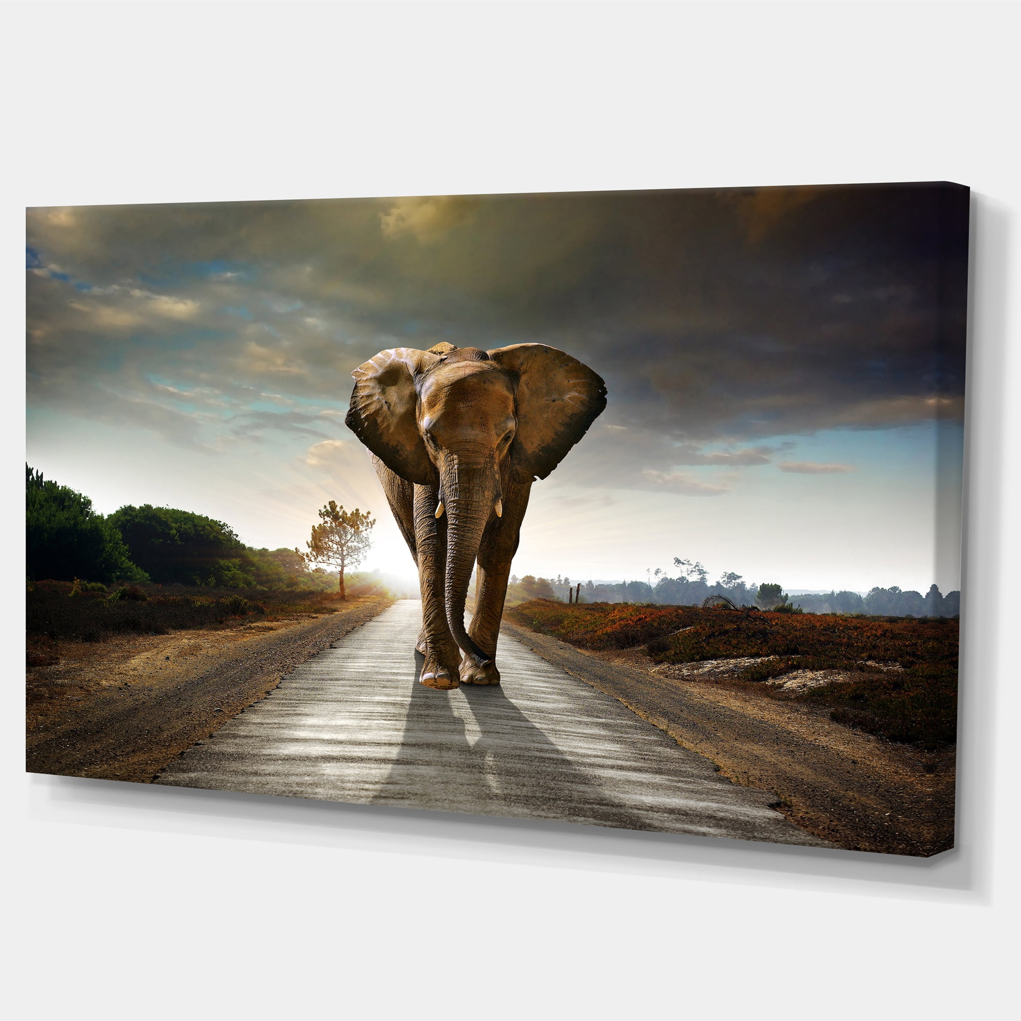 Designart 'Single Walking Elephant ' Photography Canvas Art Print