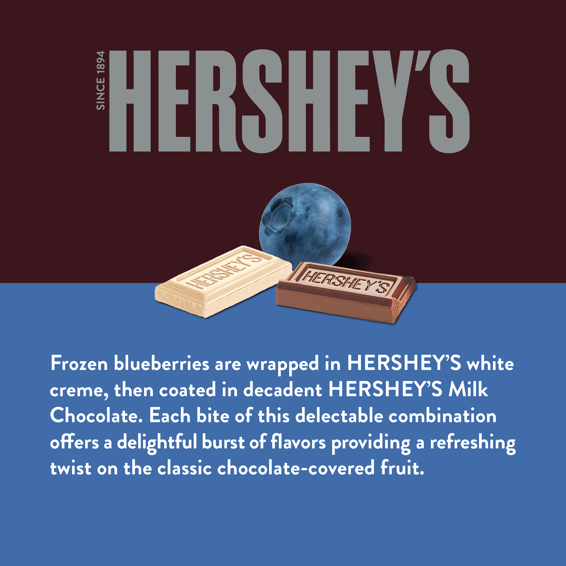 Hershey's Blueberries in White Creme & Milk Chocolate, 8 oz (Frozen) - image 3 of 5