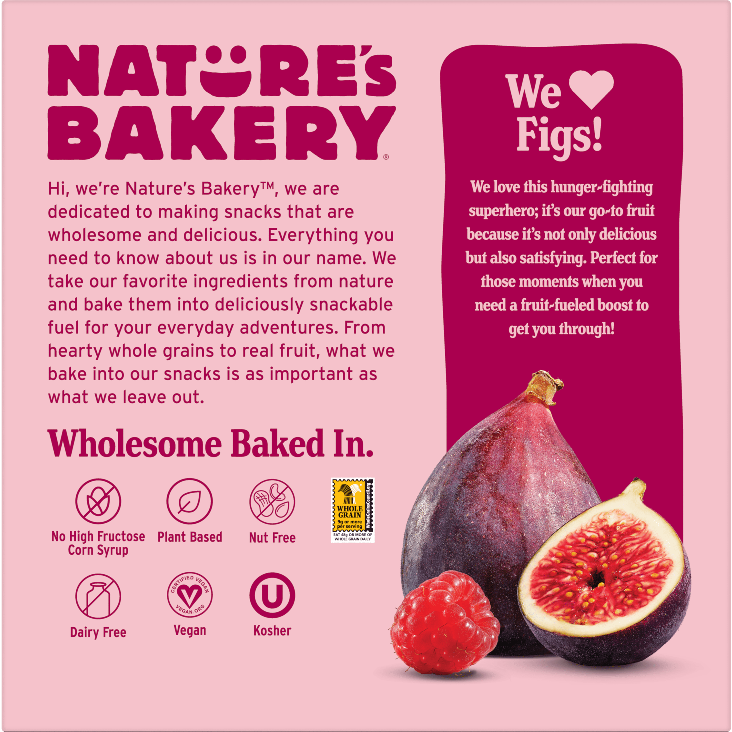Nature's Bakery Raspberry Fig Bar Minis, 1 oz Snack Bars (60 Ct), Vegan, Non-GMO, Plant-Based