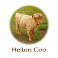 thumbnail image 3 of CafePress - Heilan Coo (Highland Cow) Women's Light Pajamas - Women's Short Sleeve Print T-Shirt and Pants Light Cotton Pajama Set, 3 of 7