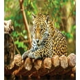 thumbnail image 3 of Ambesonne Zoo Duvet Cover Sets, Jaguar on Wood Wild Feline, 2-Queen, Green Yellow Brown, 3 of 3