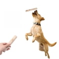 thumbnail image 4 of Wood Dog Chew Stick Non‑Splinter Safe Wooden Teething Toy Long‑Lasting Dental Care Gnaw Stick for Small Medium Large Adult Dogs,14cm, 4 of 4