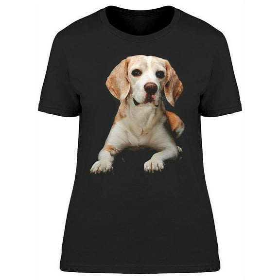 Beagle Puppy Face Portrait T-Shirt Women -Image by Shutterstock, Female 3X-Large