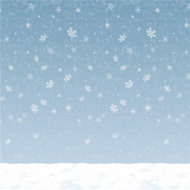 Morris Costumes BG20201 Hiver Ciel Fond Partie Accessoire
