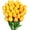 Gold Yellow, variant on 10pcs Artificial Tulip Flowers, Real Touch Fake Flowers Bulk for Mothers Day Home Office Centerpiece Indoor Outdoors Spring Easter Decorations