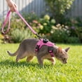 thumbnail image 4 of Adjustable Airtag Holder Cat Vest Harness with 1.5M Matching Leash, Escape Proof Reflective Pet Chest Harness for Kittens & Small Cats 3 to 8 Pounds Outdoor Walking, 4 of 7