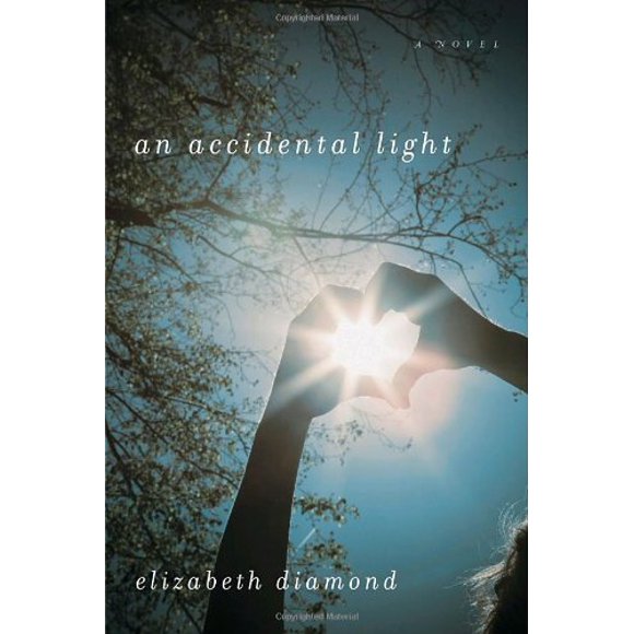 An Accidental Light : A Novel 9781590513019 Used / Pre-owned