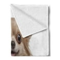 thumbnail image 2 of Chihuahua Soft Flannel Fleece Throw Blanket, Plain Backgorund Photo of Funny Puppy Lying Print, Cozy Plush for Indoor and Outdoor Use, 50" x 60", Umber Camel, by Ambesonne, 2 of 5