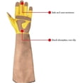 thumbnail image 2 of Guantes de soldadura Guantes de cuero para jardinería, guantes de protección, guantes de soldador, guantes de trabajo de soldadura (tamaño: METRO), 2 of 5