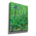 thumbnail image 2 of Epic Graffiti 'Iris' by Vincent Van Gogh, Giclee Canvas Wall Art, 26"x34", 2 of 8