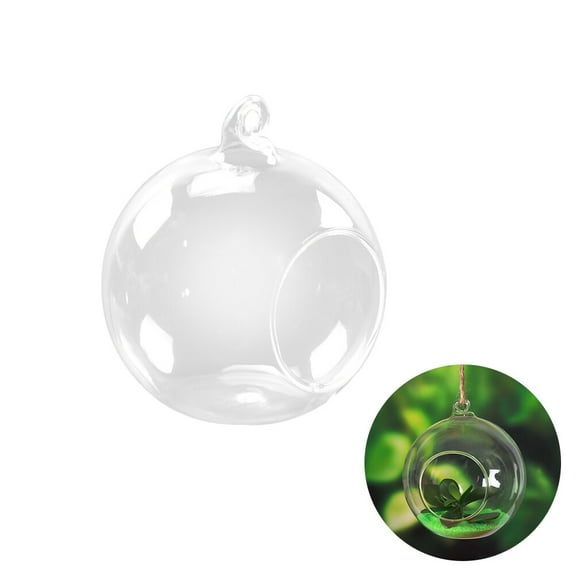 WHAMVOX Wall Mounted Terrarium Air Plants 10.00X10.00X10.00CM