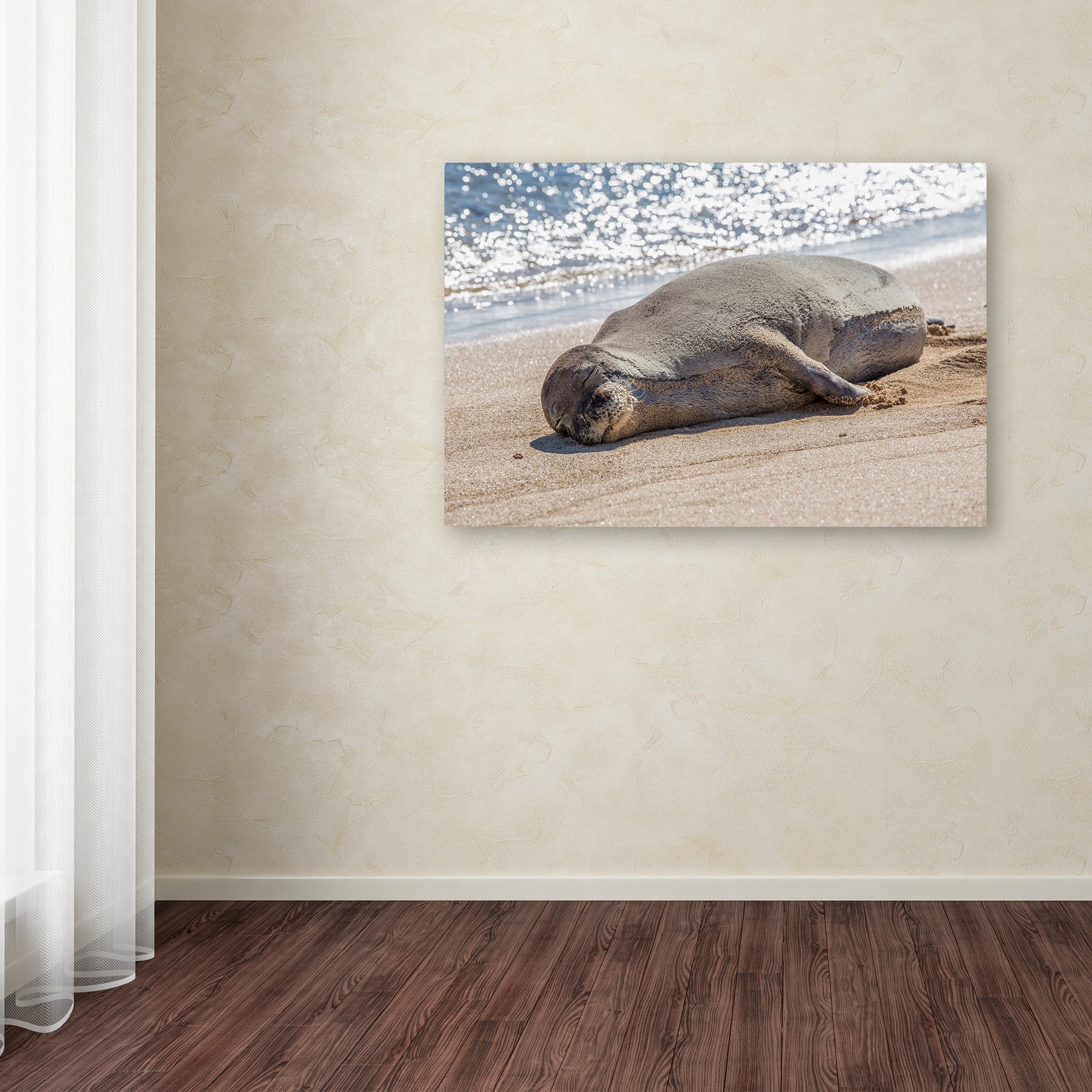 Trademark Fine Art 'Hawaiian Monk Seal' Canvas Art by Pierre Leclerc