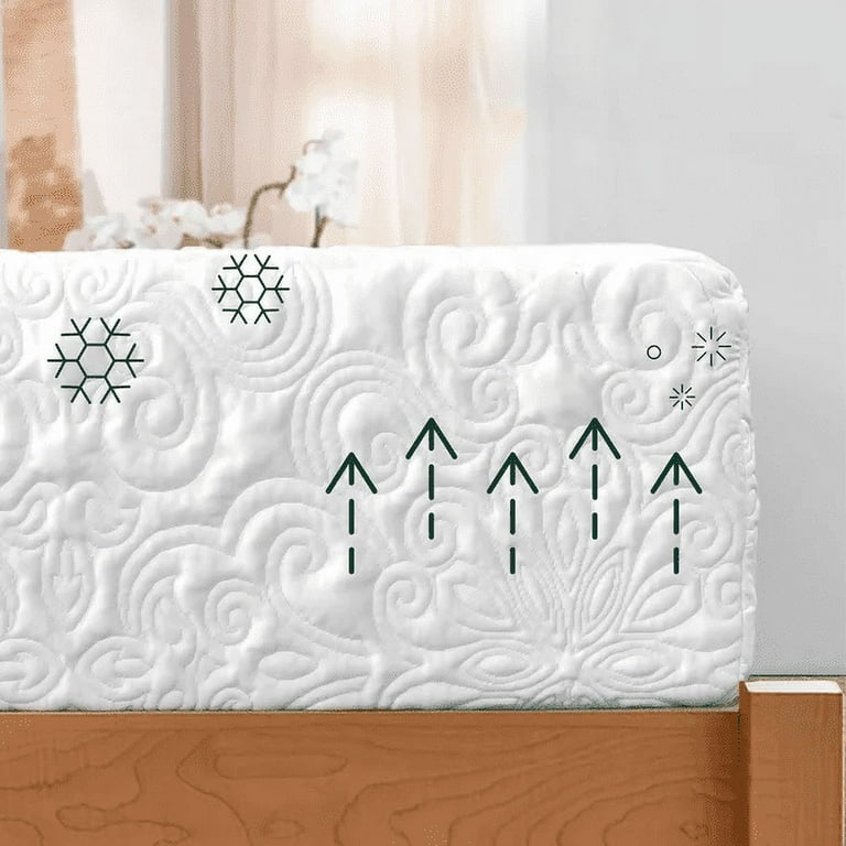Zinus Spa Sensations Serenity 12 Memory Foam Mattress Queen