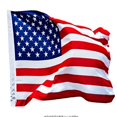 thumbnail image 1 of Deporte Bandera estadounidense EE. UU. 4 poliéster Star Spangled flag, 1 of 1