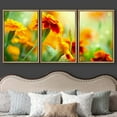 thumbnail image 3 of wall26 - 3 Piece Framed Canvas Wall Art - Tagetes Marigold Flower Autumn Flowers Background - Modern Home Art Stretched and Framed Ready to Hang - 16"x24"x3 Natural, 3 of 5