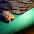 thumbnail image 1 of Reptile Substrate Mat Carpet Bedding,  Large Reptile Carpet Terrarium Liner Bedding Reptile Substrate Mat  Accessories Absorbent Breathable Reptile  Terrarium Liner, 1 of 8