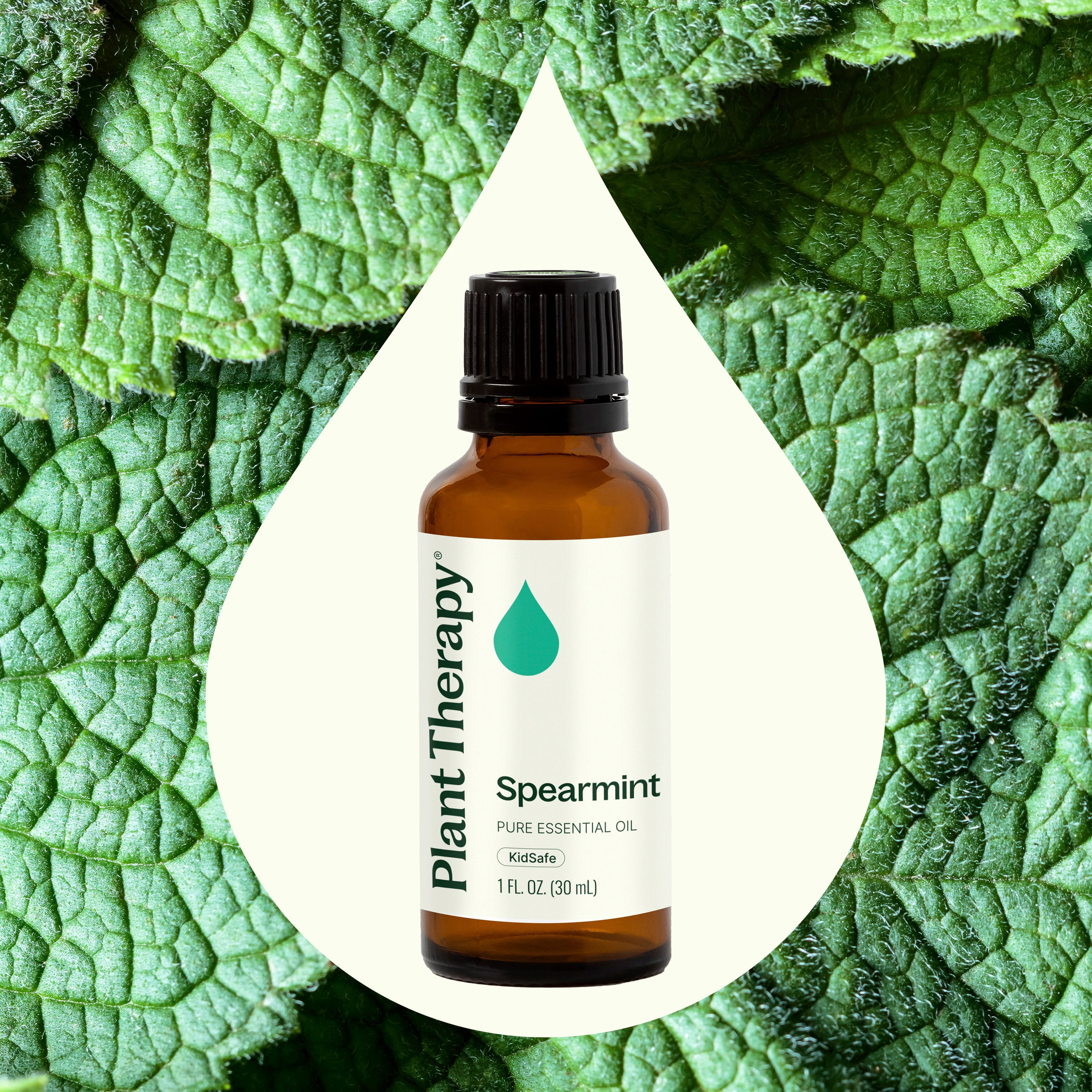 Plant Therapy Spearmint Essential Oil 30 mL (1 oz) 100% Pure, Undiluted, Natural Aromatherapy