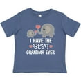 thumbnail image 3 of Inktastic Grandchild Best Grandma Ever Boys or Girls Baby T-Shirt, 3 of 5