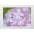 thumbnail image 1 of Murdock, Ramona 24x17 White Modern Wood Framed Museum Art Print Titled - Soft Lilac, 1 of 4