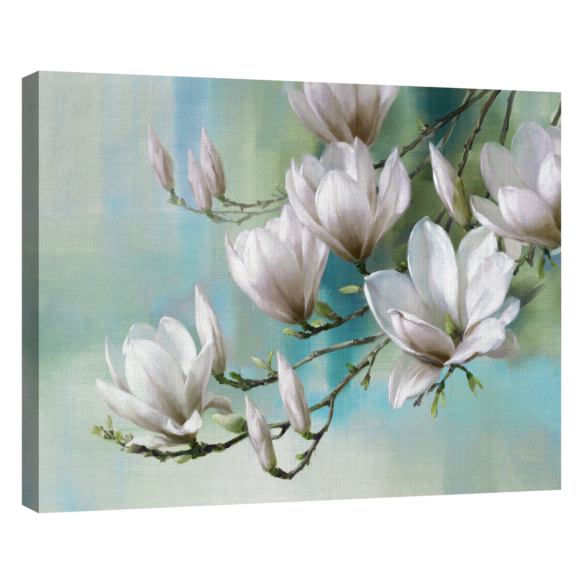 Masterpiece Art Gallery Magnolia Morning Teal by Roger Daniels Canvas Art Print 22" x 28"