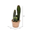 thumbnail image 2 of Vickerman Everyday 10.5" Indoor Artificial Pre-Made Green Cactus - Paper Pot - Exotic Desert Greenery For Home Or Office - Maintenance Free, 2 of 2