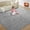 Gray, variant on Cshidworld Ultra Soft Rug for Living Room, 6X9 Fluffy Area Rug for Bedroom, Modern Shaggy Carpets Fuzzy Rug for Teens Dorm Bedside Home Decor Aesthetic, Heavy Duty Non Slip, Black