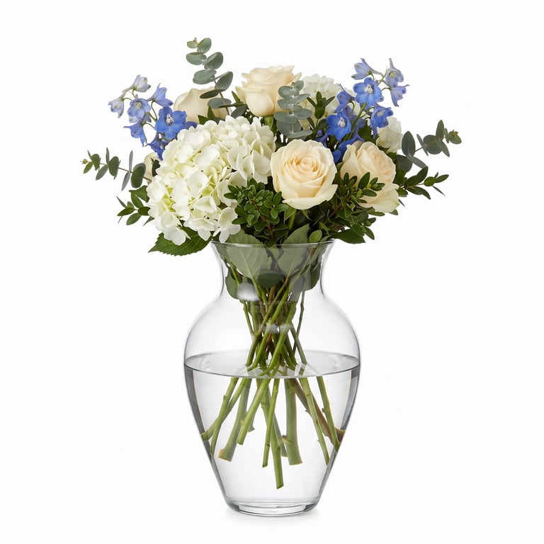 2 pack) (2 pack) (2 pack) (2 pack) Libbey Clear Glass 10.5