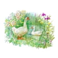 thumbnail image 1 of Kit de pintura de diamantes (DE6041) Cisne Cygnus Bird Full Round Resin Rhinestone Picture 40x50cm Hugtrwg Para estrenar, 1 of 1