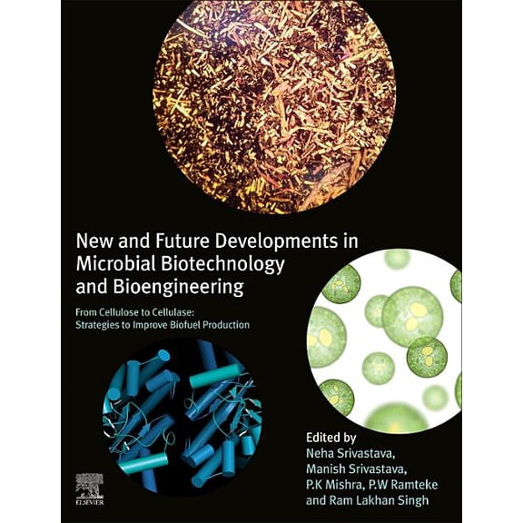 New and Future Developments in Microbial Biotechnology and Bioengineering: From Cellulose to Cellulase: Strategies to Im, (Paperback)