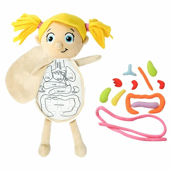 BESTSKY Human Body Anatomy Toy Human Body Organ Doll Model Anatomy Doll Preschool Educational Organ Plush Toys For Kids