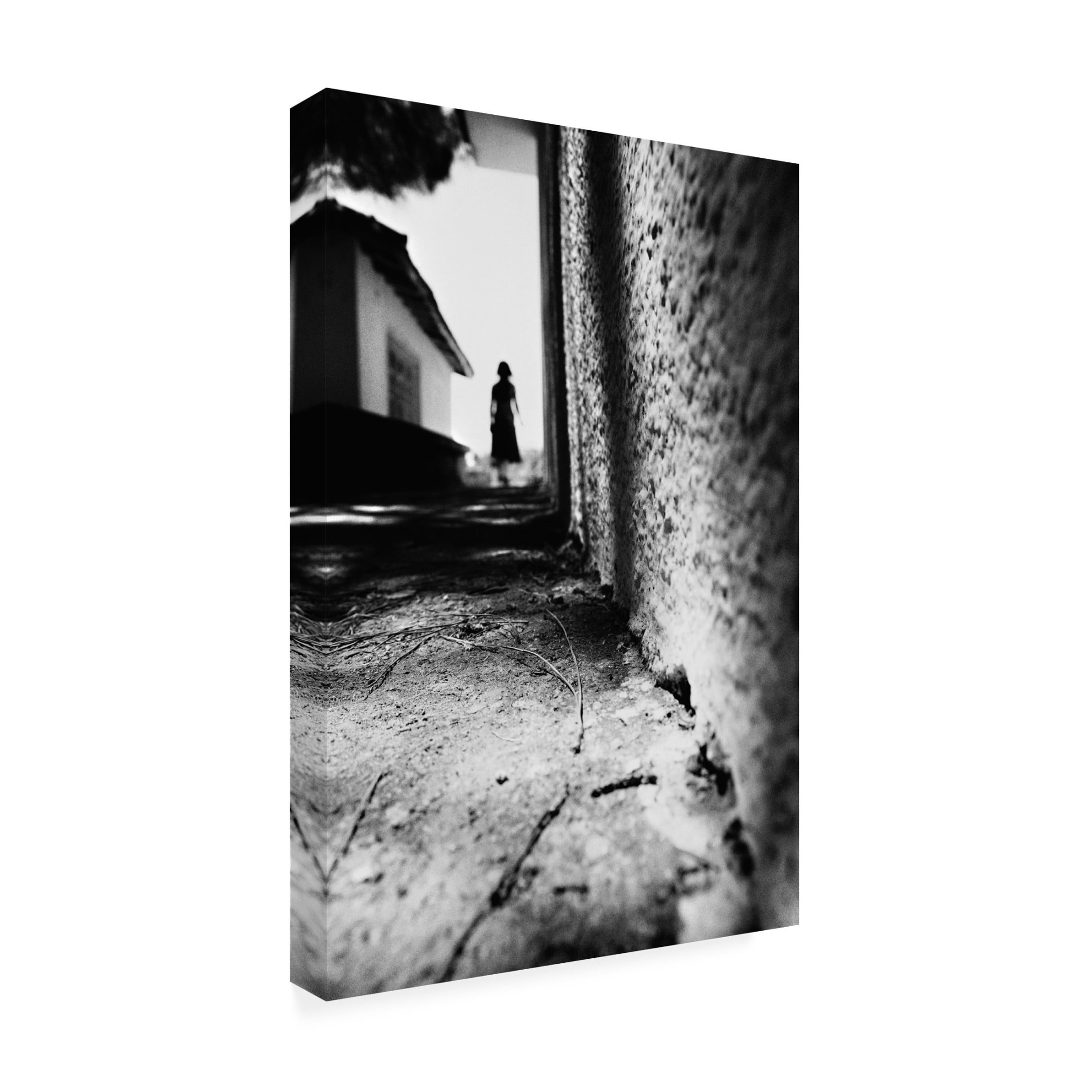Canvas Wall Art - Ali Ayer 'Alley' Wall Art for Living Room, Bedroom, or Office D?cor by Trademark Fine Art - 16 x 24 Inches
