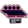 Team USA Bobsled Pictogram Pin