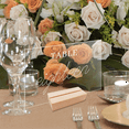 thumbnail image 2 of 12PCS DIY Blank Acrylic Table Sign Clear Sign with Stand Transparent Arch Table Numbers Table Card Wedding Decoration,C, 2 of 8