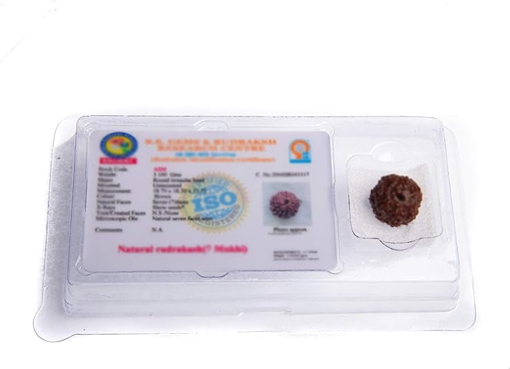 Wonder Care - Original Nepali Rudraksha Bead/Rudraksha Bead Natural Rudra Religious Rosary Bead
