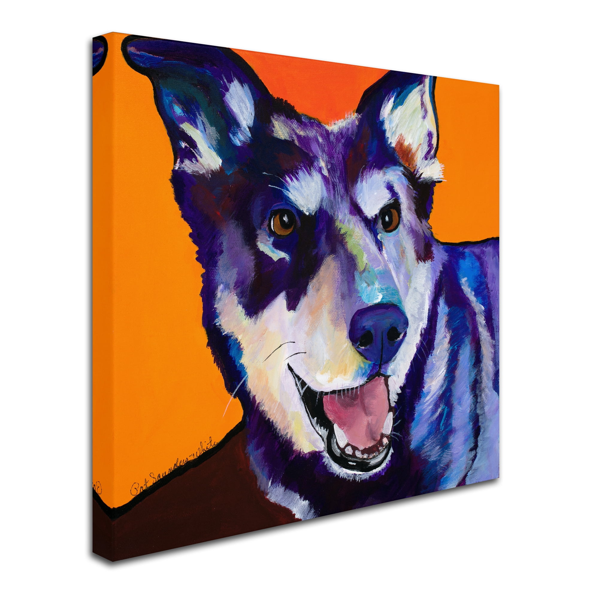 Trademark Fine Art 'Charley' Canvas Art by Pat Saunders-White