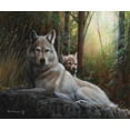 thumbnail image 2 of Daniel, Kevin 14x12 White Modern Wood Framed Museum Art Print Titled - Recumbent Wolves, 2 of 4