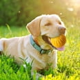 thumbnail image 4 of Durable EVA Interactive Pet Toy for Boredom Teeth Cleaning Chewing for Large and Medium Dogs, 4 of 5