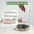 thumbnail image 2 of Premium Biochar Soil Enhancer – 100% Organic Charcoal Amendment for Improved Soil Health and Plant Growth 12 lbs, 2 of 7