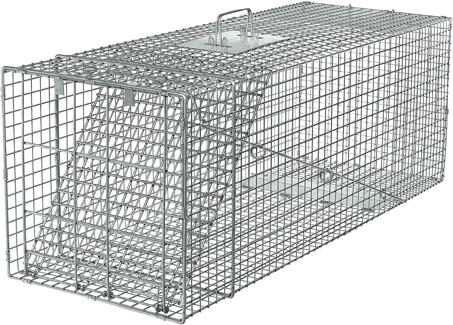 Havahart 1081 Live Animal Professional Style OneDoor Large Raccoon, Small Dogs, and Fox Cage