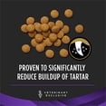 thumbnail image 2 of Veterinary Diets DH Dental Health Canine Formula Dry Dog Food 16.5 lbs., 2 of 2
