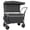 Black-37.5x23x48"(DxWxH), variant on NIGSQJB 300L Push-Pull Folding Beach Cart w/Rotating Handle & Canopy, 7"All-Terrain Wheels & Brakes, 480lbs Capacity Heavy-Duty Utility Wagon Camping Cart for Transport, Grocery, Garden, Purple