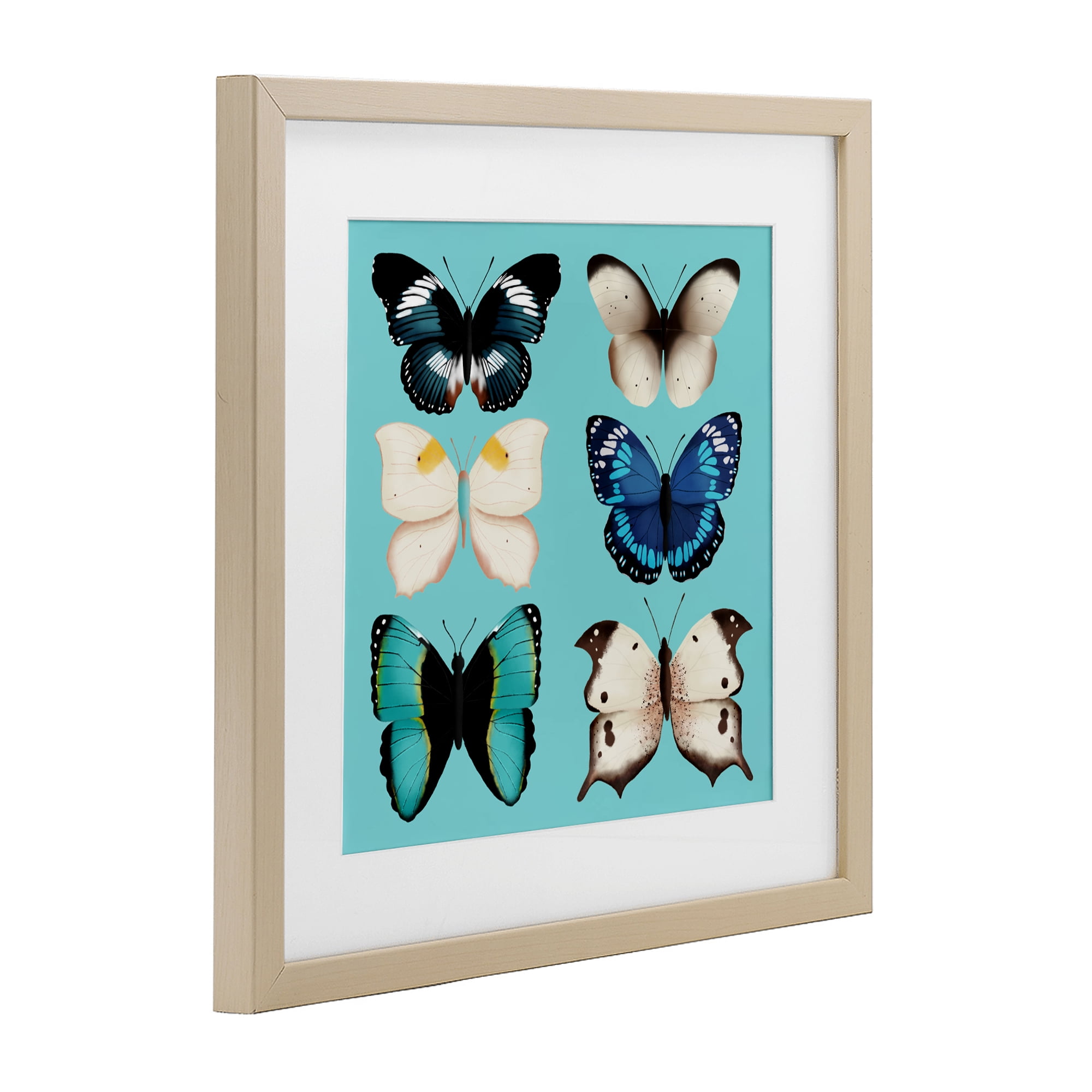 Stupell Industries Six Diverse Butterflies on Turquoise Birch Framed Print Under Glass, design by Metka Hiti