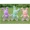 Full Set_All 3 Colors, variant on Plush Dog Toy Soothing Calming Lavender Infused 12 Inch Bunny With Heartbeat (Green)